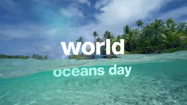 Featured image for “Pivot Promo: “World Oceans Day””